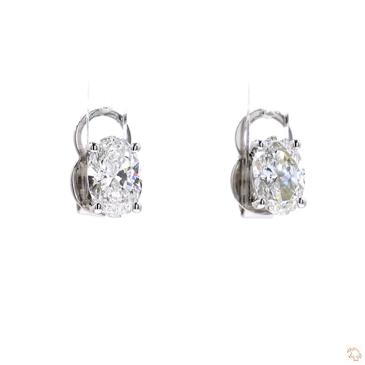 Oval Shape Diamond Stud Earrings in White Gold